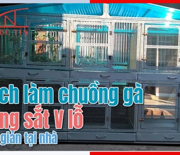 Cách làm chuồng gà bằng sắt v lỗ nhanh và đơn giản TẠI NHÀ