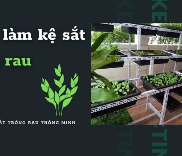 Cách làm kệ sắt trồng rau THÔNG MINH bằng sắt V lỗ đơn giản