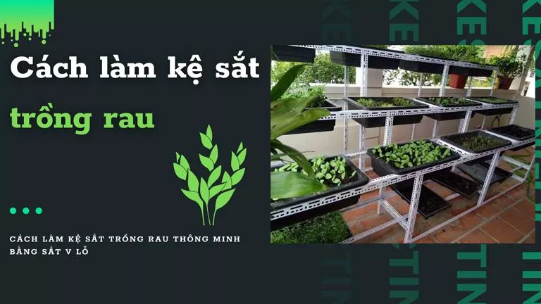 Cách làm kệ sắt trồng rau THÔNG MINH bằng sắt V lỗ đơn giản