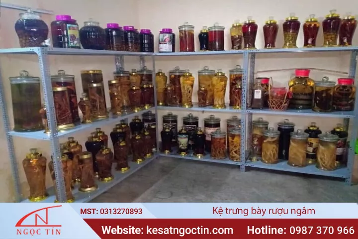 Kệ trưng bày bình rượu ngâm CHẤT LƯỢNG